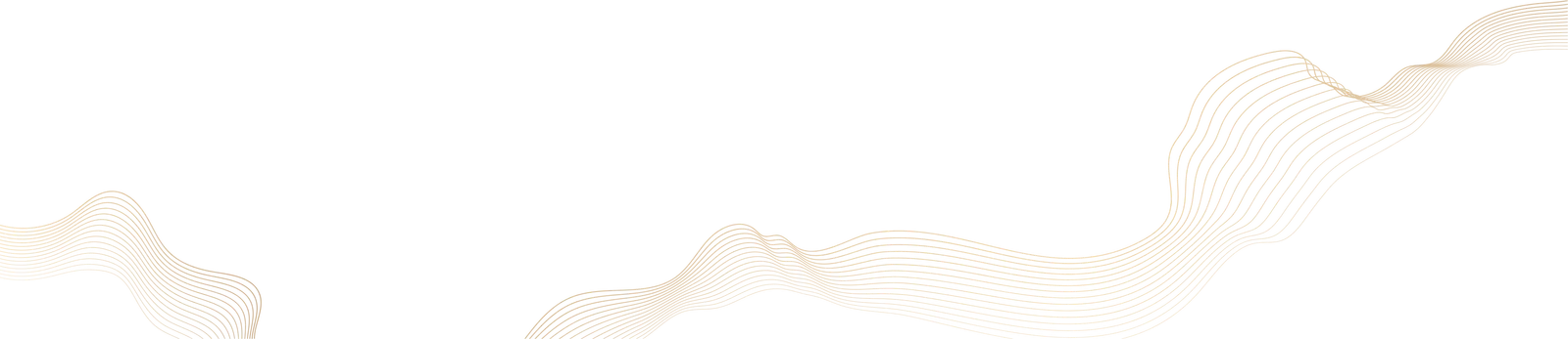 Decorative vector